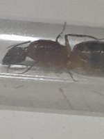 20260710_011942.jpg