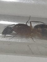 20260710_011941.jpg