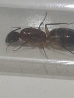 20260710_011910.jpg