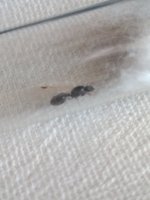 IMG_20260710_105710.jpg