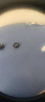 1000040081.jpg