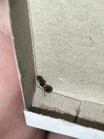 IMG_20260711_203021.jpg
