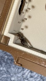IMG_3433.jpeg