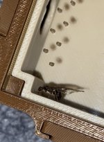 IMG_3442.jpeg