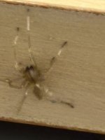 IMG_3912.jpeg