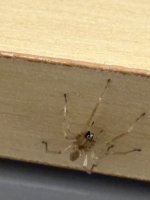 IMG_3910.jpeg