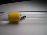 100_2983.JPG