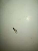 IMG_20260712_013437.jpg