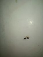 IMG_20260712_013435.jpg