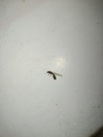 IMG_20260712_013428.jpg
