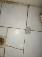 IMG_20260712_013423.jpg