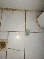 IMG_20260712_013420.jpg