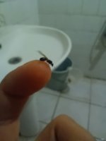 IMG_20260712_013353.jpg