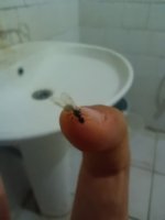 IMG_20260712_013350.jpg