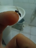 IMG_20260712_013348.jpg