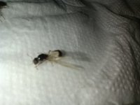 IMG_20260712_014603.jpg