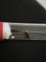 IMG_20260712_035946.jpg