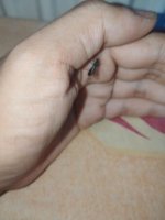 IMG_20260712_041045.jpg