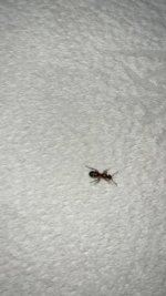 IMG_4917.jpeg