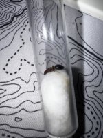IMG_7722.jpeg