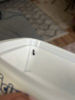 IMG_0936.jpeg