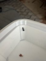 IMG_0935.jpeg