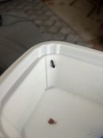 IMG_0934.jpeg