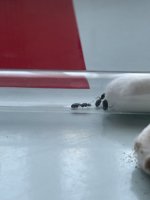 IMG_6660.jpeg