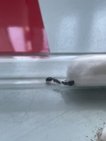 IMG_6659.jpeg