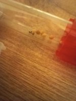 20260713_231835.jpg