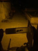 IMG_1516.jpeg