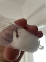 IMG_5163.jpeg