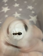IMG_1974.jpeg