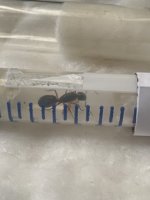 IMG_1996.jpeg