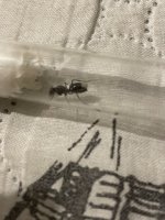 IMG_5832.jpeg