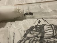 IMG_5834.jpeg