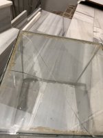 IMG_2037.jpeg