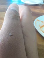 20260715_121106.jpg