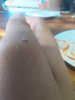 20260715_121108.jpg