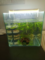 görsel_2026-07-15_122609628.png görsel_2026-07-15_122609628.png
