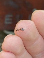 IMG_3916.jpeg