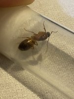 IMG_7572.jpeg