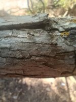 IMG_20260716_090250.jpg