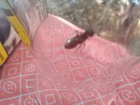 IMG_20260716_091624.jpg