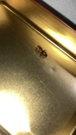 IMG_4307.jpeg
