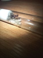 20260717_005532.jpg