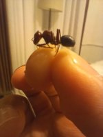 20260717_005336.jpg