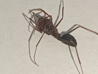 IMG_20260717_094954.jpg