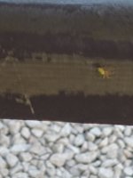IMG_20260717_184046.jpg