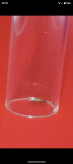 1000163309.png 1000163309.png